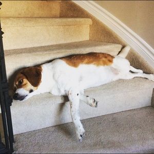 Meet your Posher, Cindy